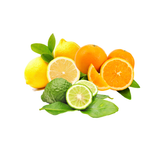 Citrus oils (Orange, Lemon, Bergamot)