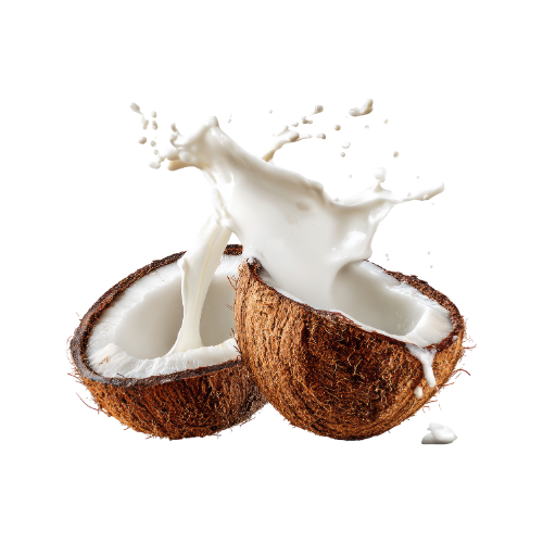 Coconut Milk