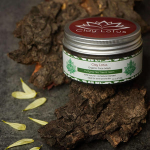 Purifying Face Wash for Acne Prone Skin with Tea Tree & Neem