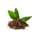 Tea Tree