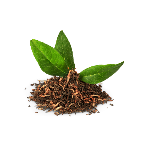 Tea Tree